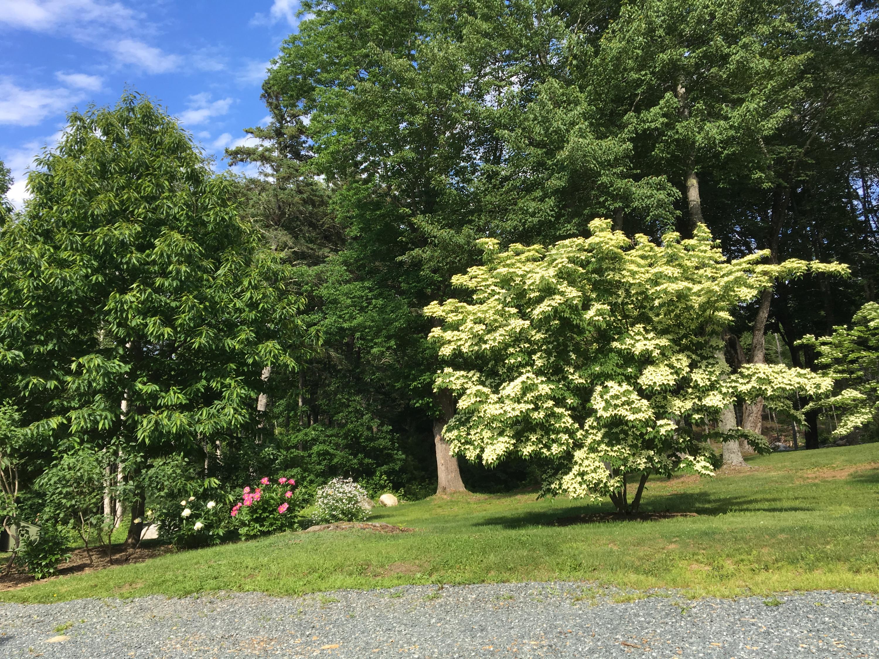 148 Rob Road Brooklin, ME 04616 - Photo 50 of 56 Garden