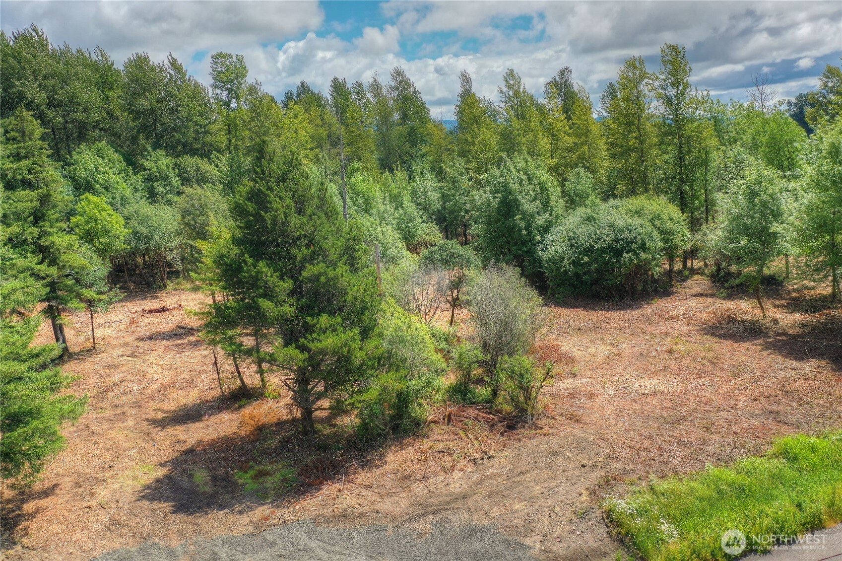 0 Old Wenzel Slough Road Elma, WA 98541 - Photo 8 of 8 Gallery Image 8