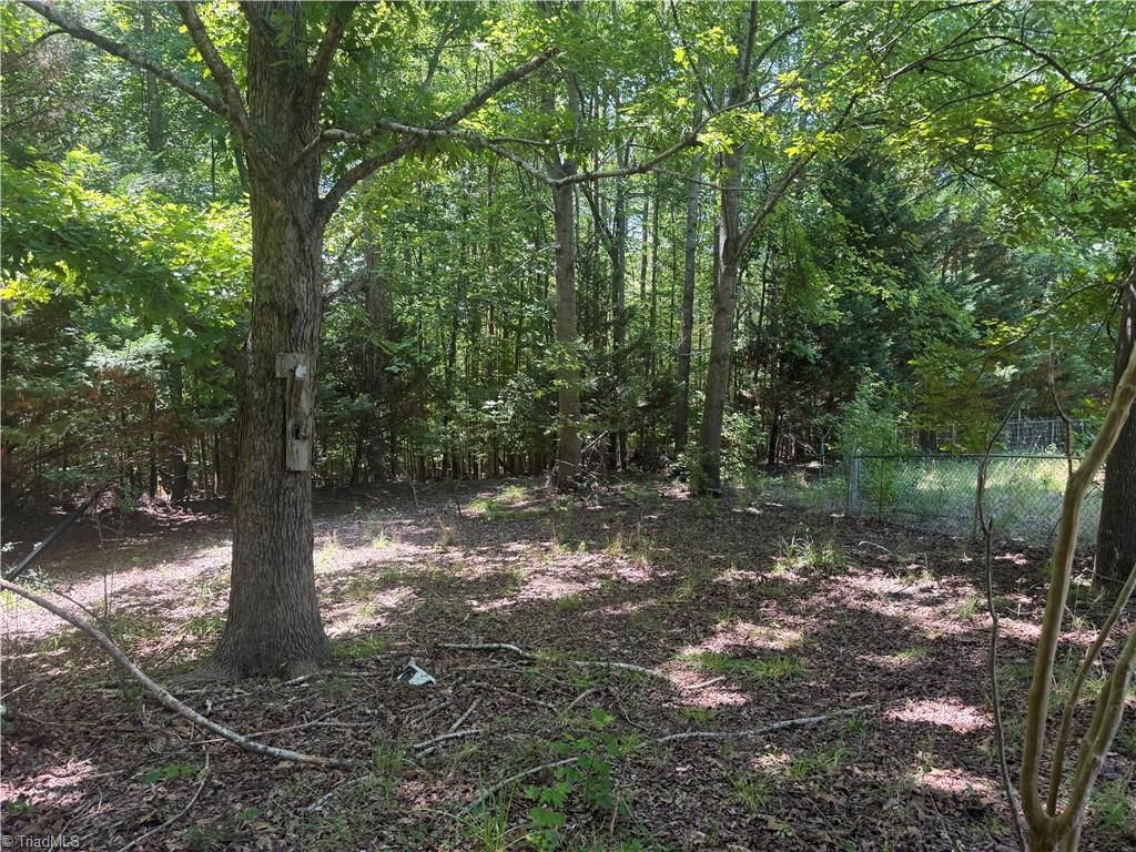 2742 George York Road Randleman, NC 27317 - Photo 29 of 33