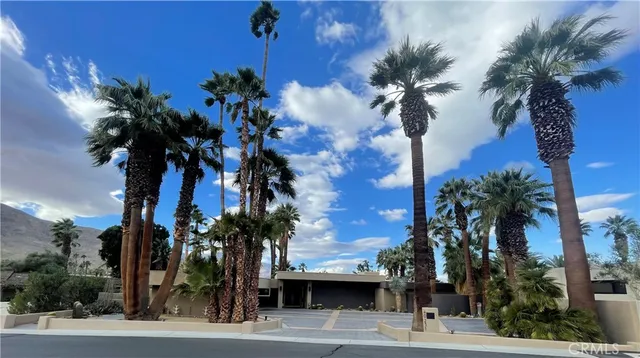 a view of a palm tree with flower plants