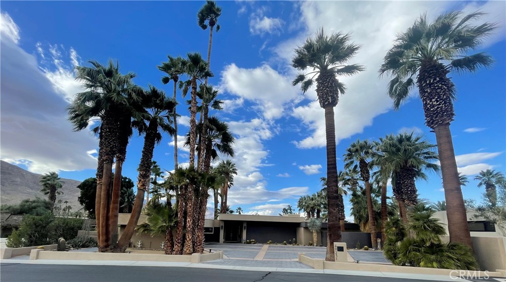 a view of a palm tree with flower plants