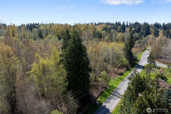 a view of a city with lush green forest