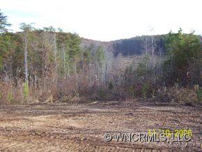 0 Will Green Road, Unit 5 Tryon, NC 28782 - Photo 2 of 3
