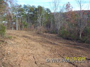 0 Will Green Road, Unit 5 Tryon, NC 28782 - Photo 3 of 3