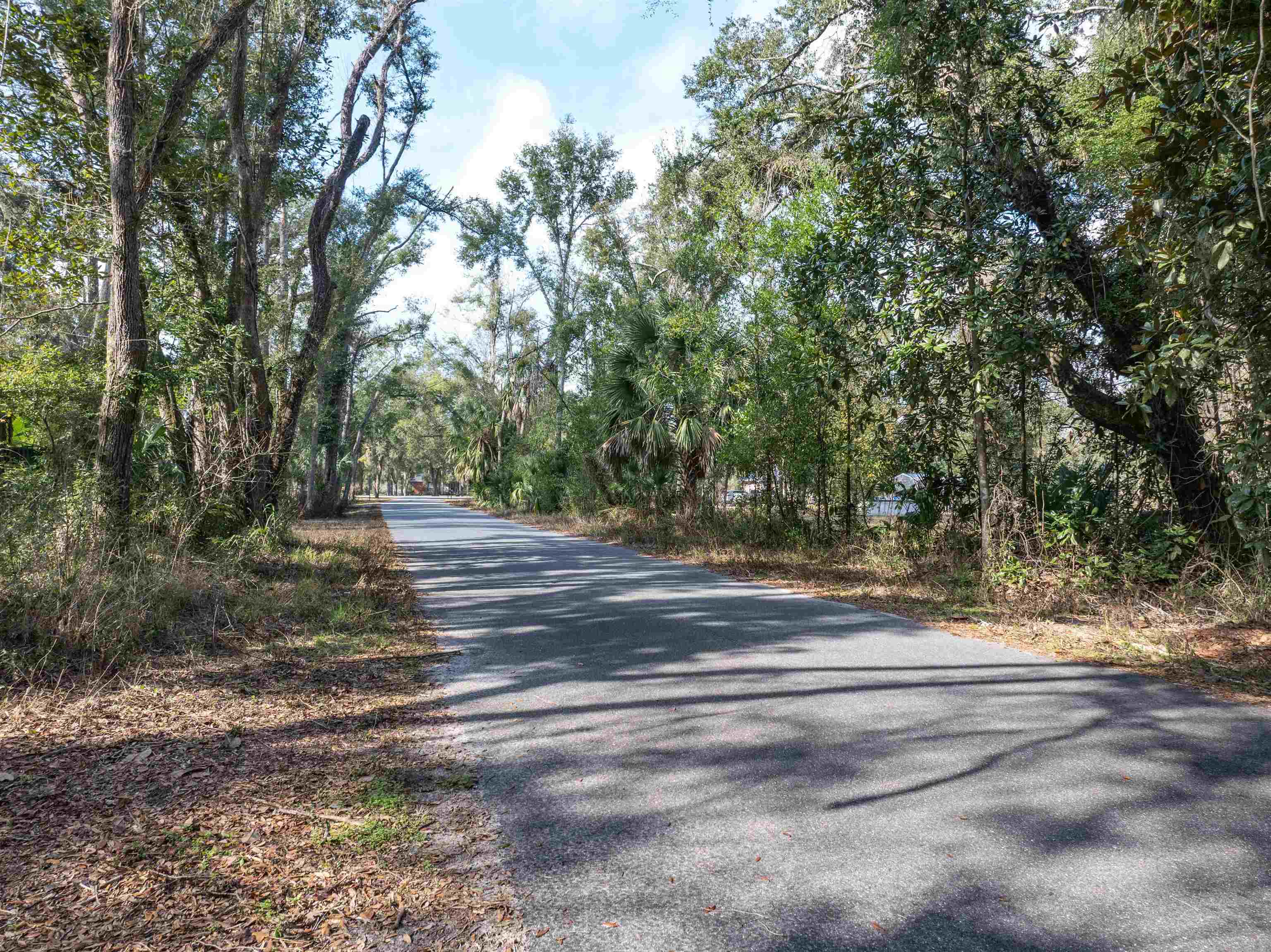 4177 Sid Hendry Road Perry, FL 32347 - Photo 3 of 33