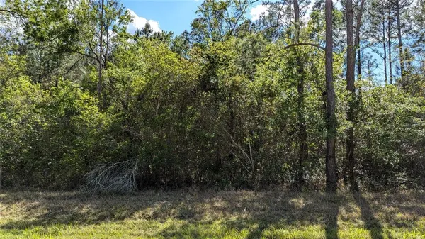 a view of a yard