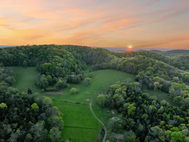a view of a green field with lots of bushes