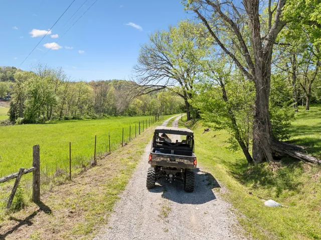 a view of a garden with chair and table in the patio