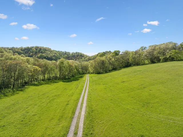 a view of a field with an ocean