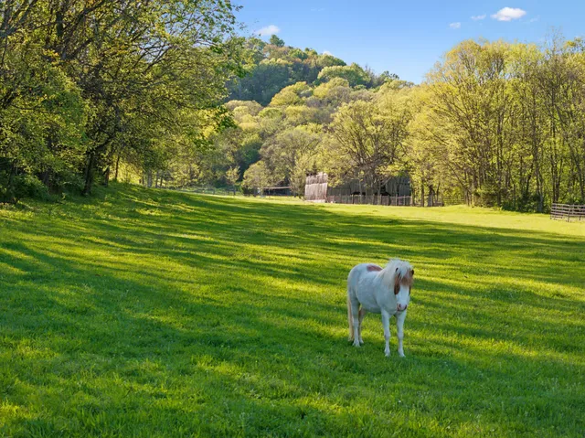 a view of a golf course with green space