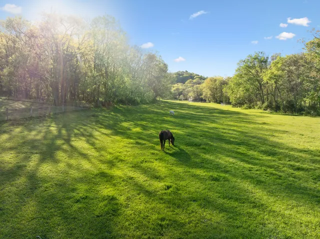a backyard of a house with lots of green space