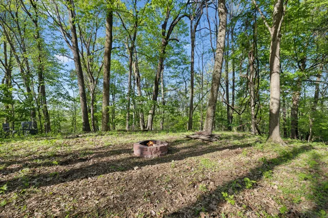 a backyard of a house with lots of green space