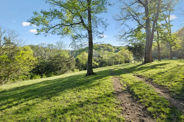a view of a big yard with large trees