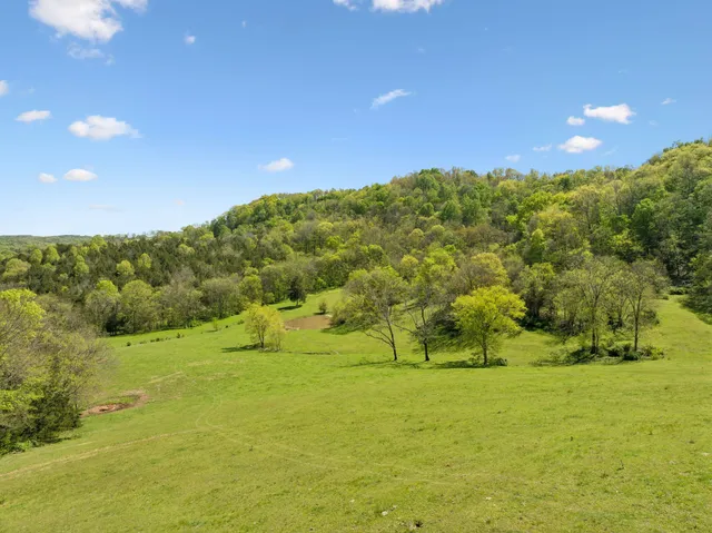 a view of a green field with lots of trees