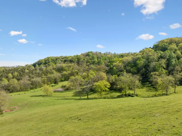 a view of a lush green space with sea