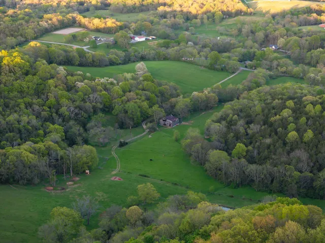 an aerial view of residential houses with outdoor space and trees