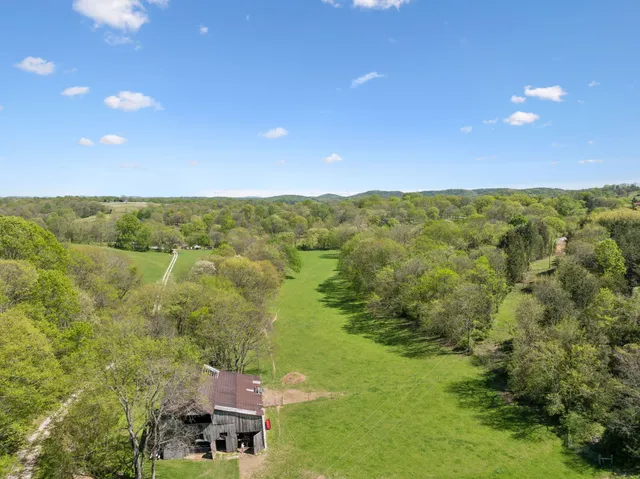 a view of a lush green space