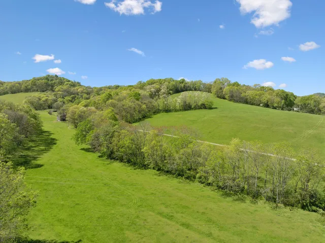 a view of a green field