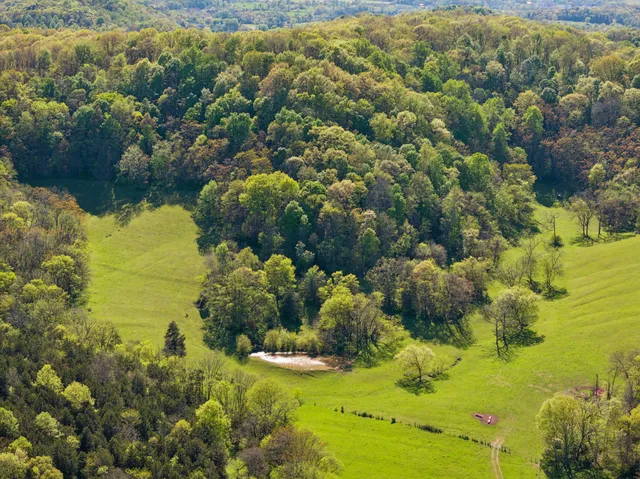 a view of a grassy field with trees