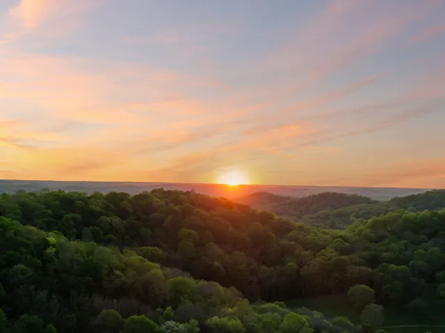 a view of a city with lush green forest