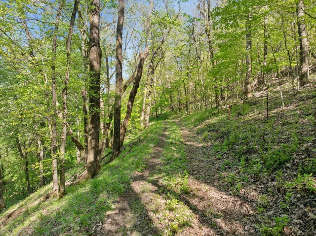 $6,500,000 | 4693 Bennett Hollow Road, Thompson's Station, TN 37179