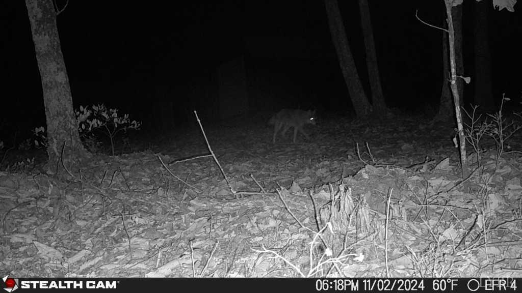 0 Earley Farm Road Amherst, VA 24521 - Photo 18 of 56 Gallery Image 18