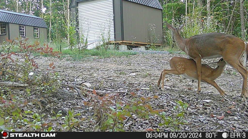0 Earley Farm Road Amherst, VA 24521 - Photo 56 of 56 Gallery Image 56