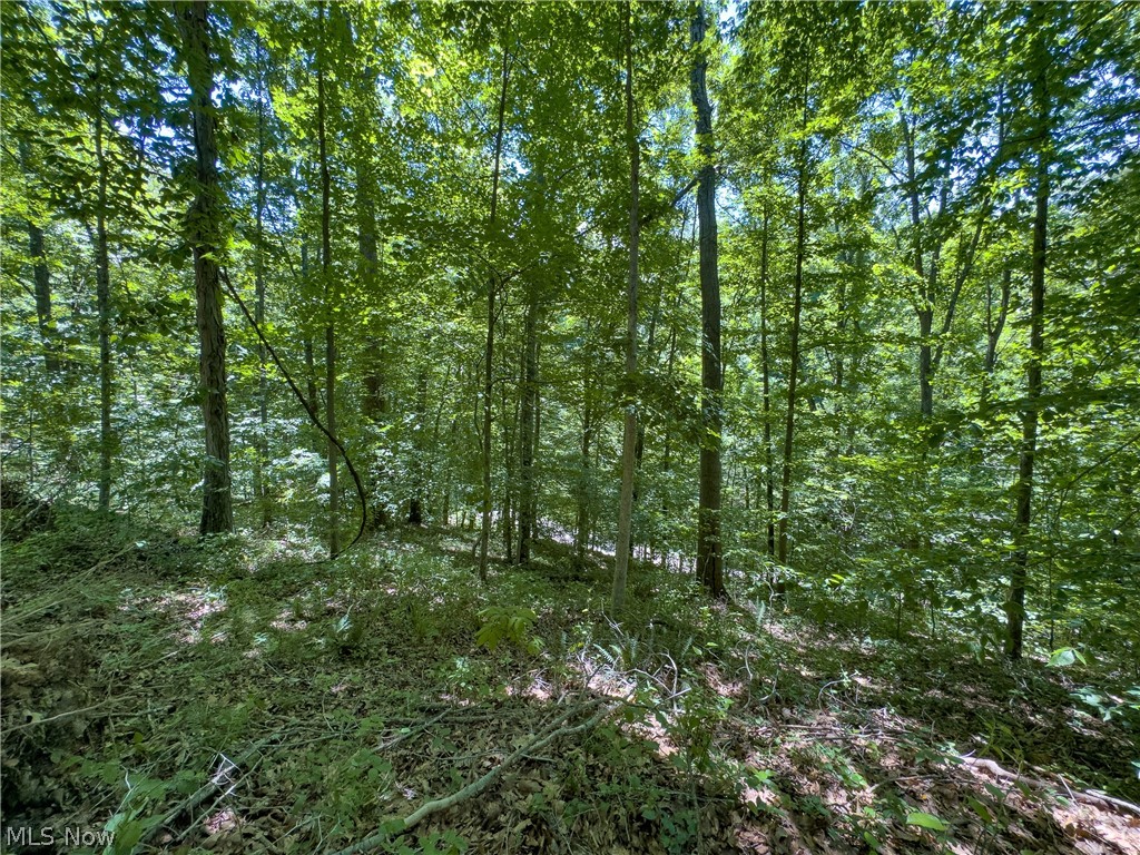 0 Long Hollow Road Pomeroy, OH 45769 - Photo 10 of 31