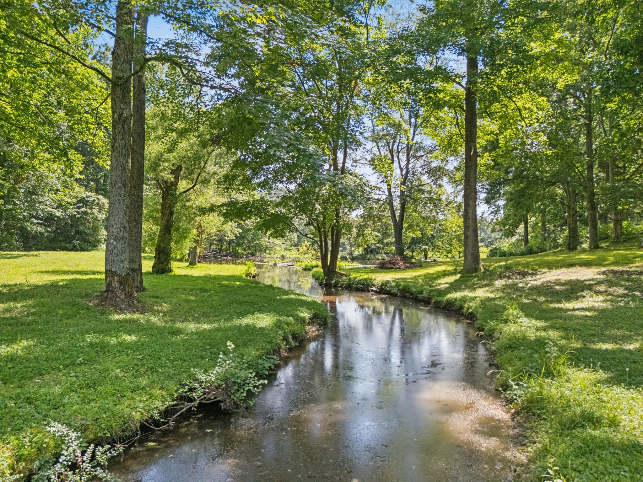 630 Lakeview Court Tennessee Ridge, TN 37178 - Photo 38 of 76 a view of a yard with a tree