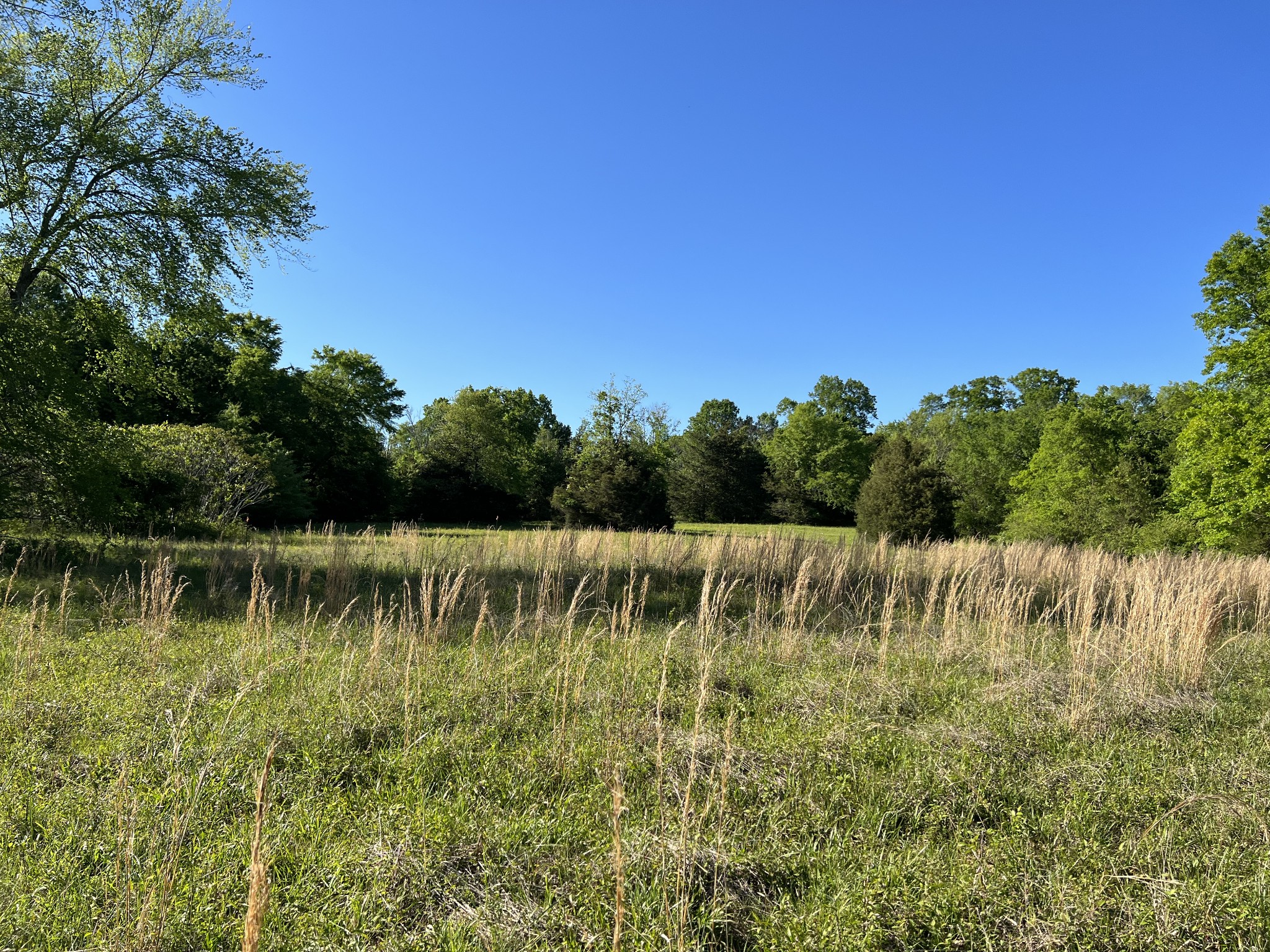 810 Rabbit Branch Road Shelbyville, TN 37160 - Photo 12 of 17 a view of a lake with houses in the back