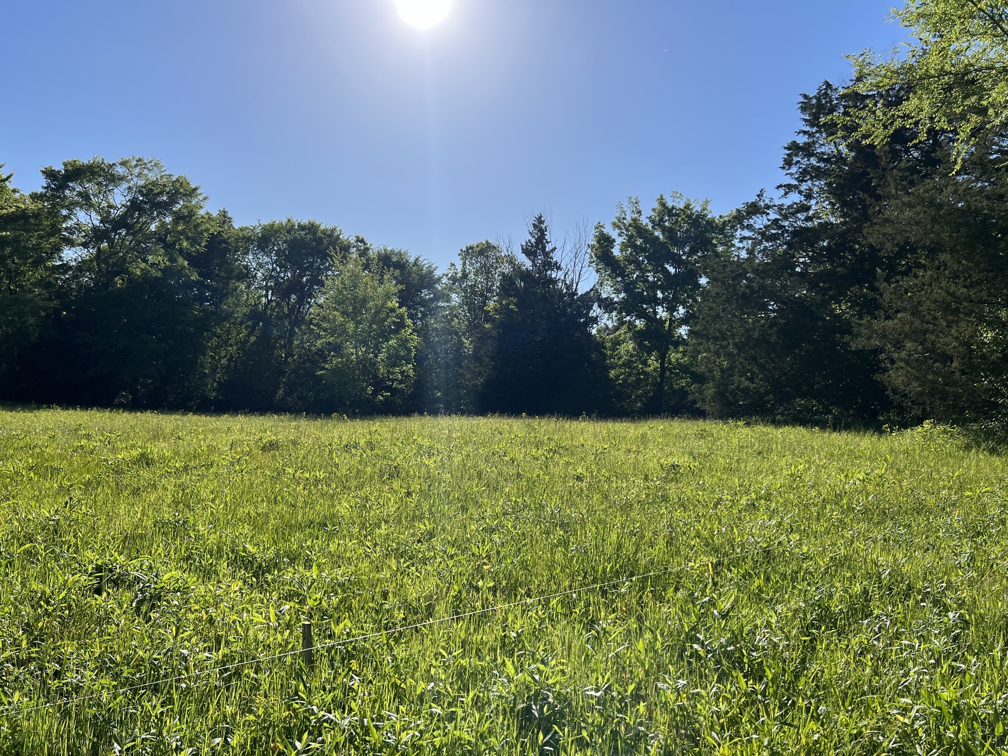 810 Rabbit Branch Road Shelbyville, TN 37160 - Photo 17 of 17 a view of outdoor space and yard