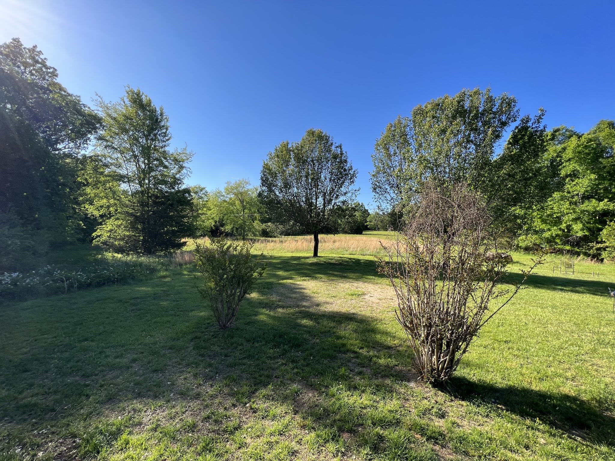 810 Rabbit Branch Road Shelbyville, TN 37160 - Photo 10 of 17 a view of a garden with a tree in the background
