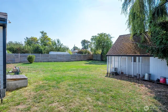 a view of a backyard with potted plants and a large tree