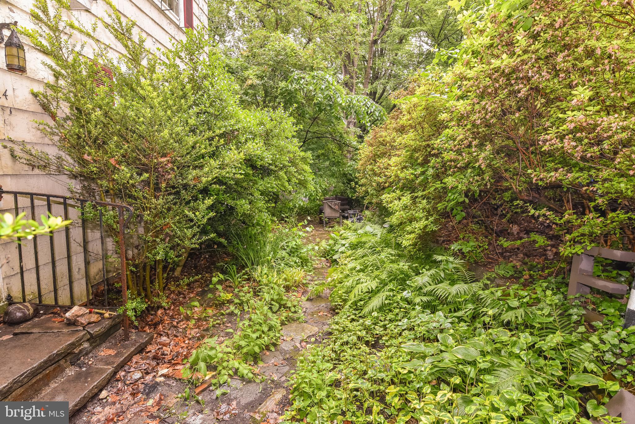 24 Merrymount Road Baltimore, MD 21210 - Photo 47 of 48 a view of a yard with plants and trees