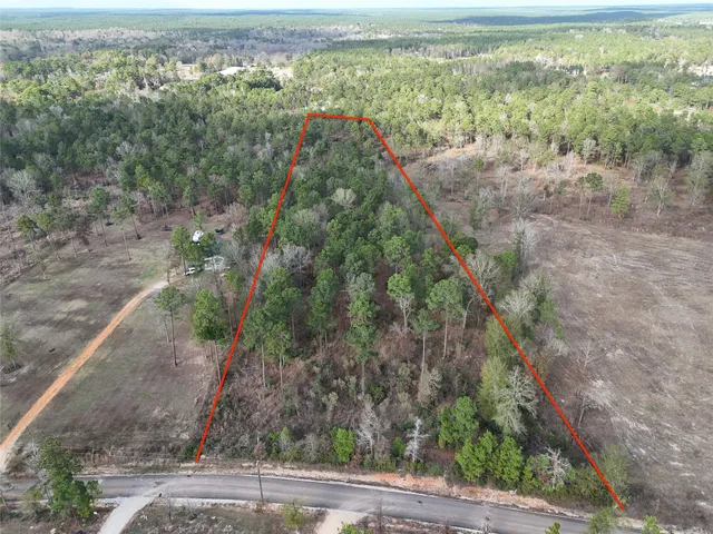 a view of a dry yard