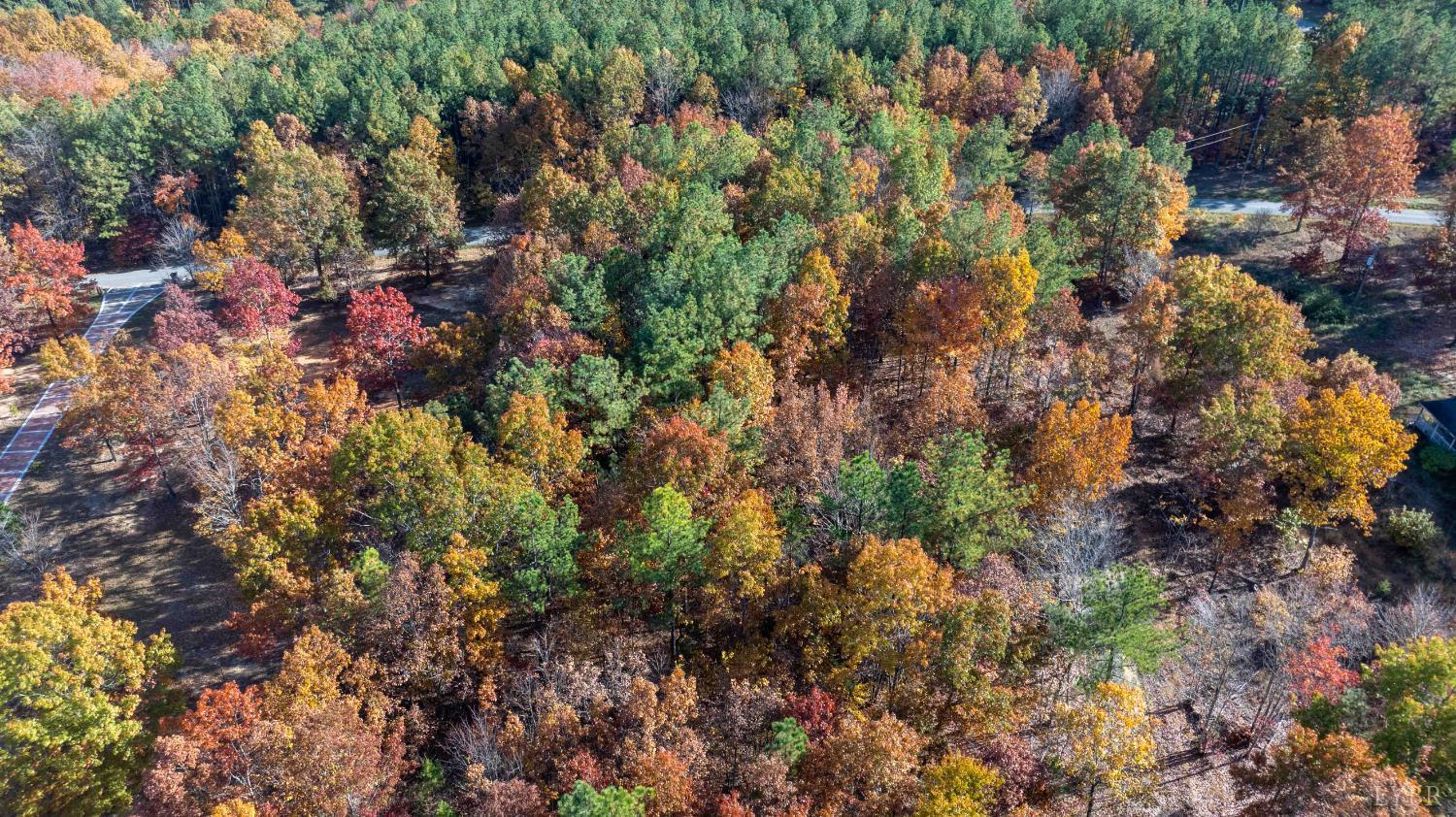 1007 Austin Road Gladstone, VA 24553 - Photo 25 of 35 a view of a forest