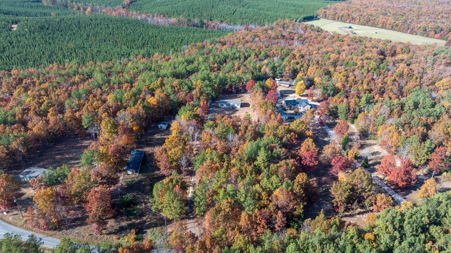 1007 Austin Road Gladstone, VA 24553 - Photo 27 of 35 a view of a yard with plants