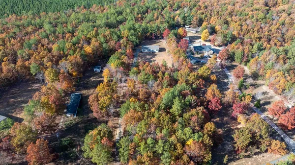 a view of a yard with plants