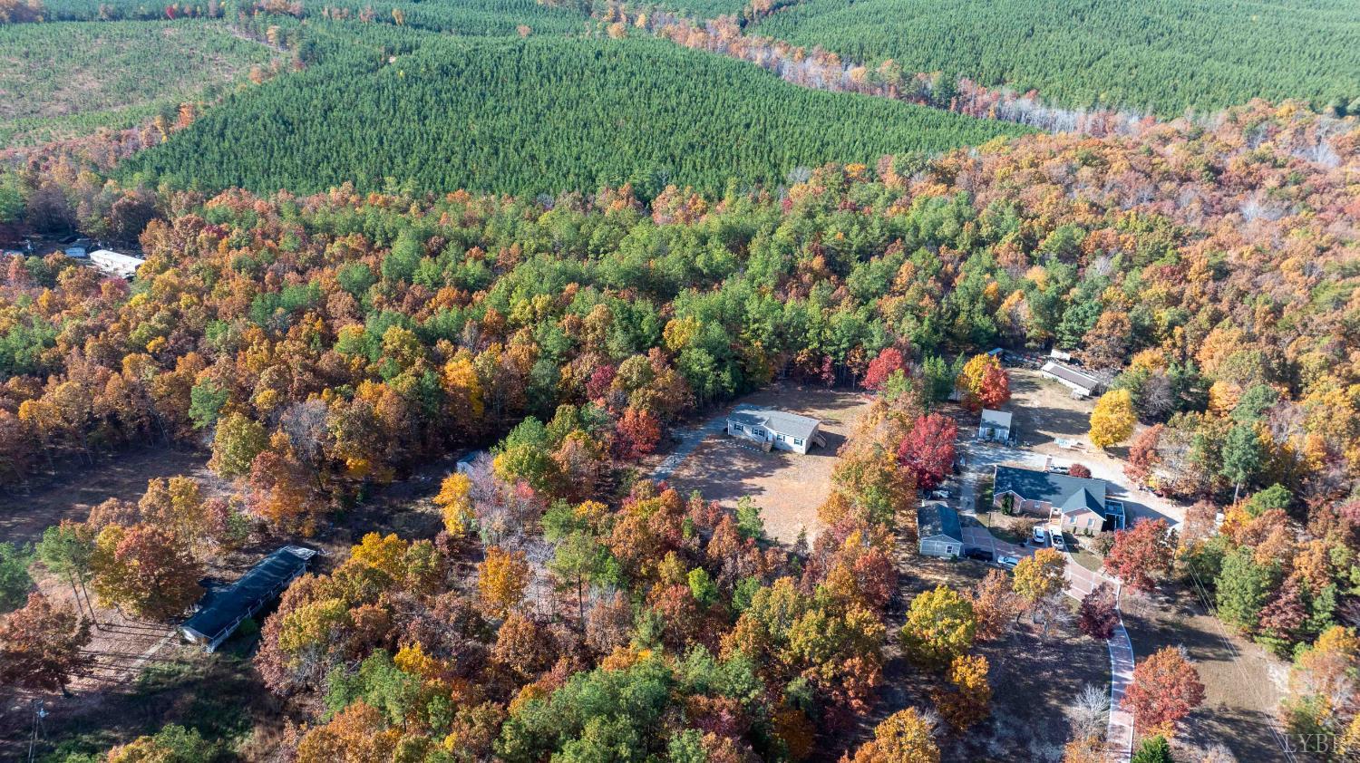 1007 Austin Road Gladstone, VA 24553 - Photo 34 of 35 a view of a yard with plants