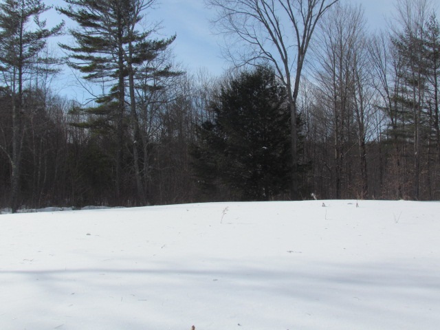 161 Bradford Springs Road Washington, NH 03280 - Photo 11 of 13