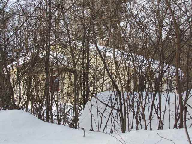 161 Bradford Springs Road Washington, NH 03280 - Photo 7 of 13