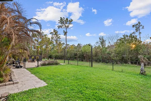 a view of a park with large trees