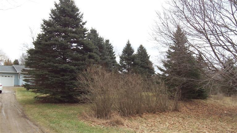484 Lincoln Lake Avenue Southeast Lowell, MI 49331 - Photo 13 of 14 Additional Photo