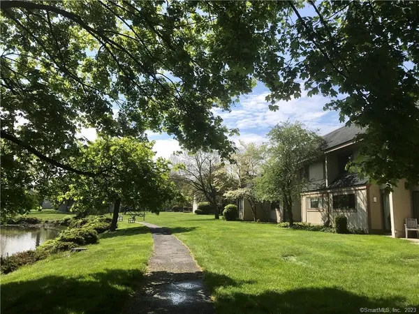 a view of a big yard with plants and large trees