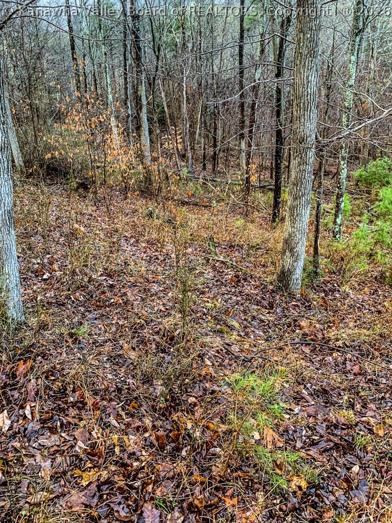 0 Gritt Road Red House, WV 25168 - Photo 13 of 14 Gallery Image 13