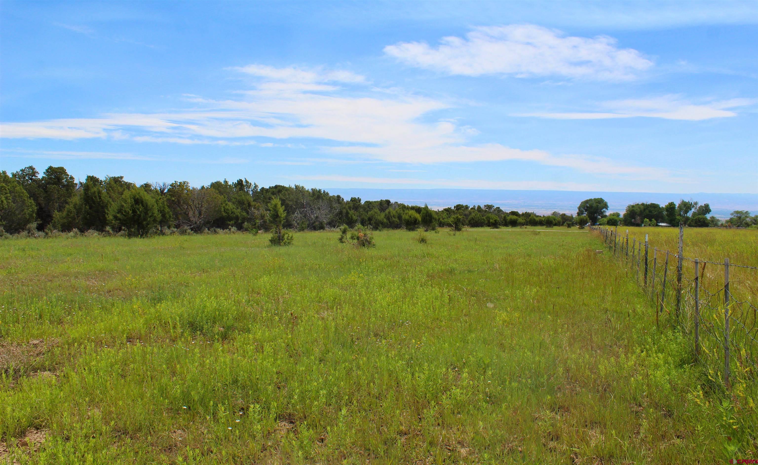 15574 2900th Road Hotchkiss, CO 81419 - Photo 43 of 45