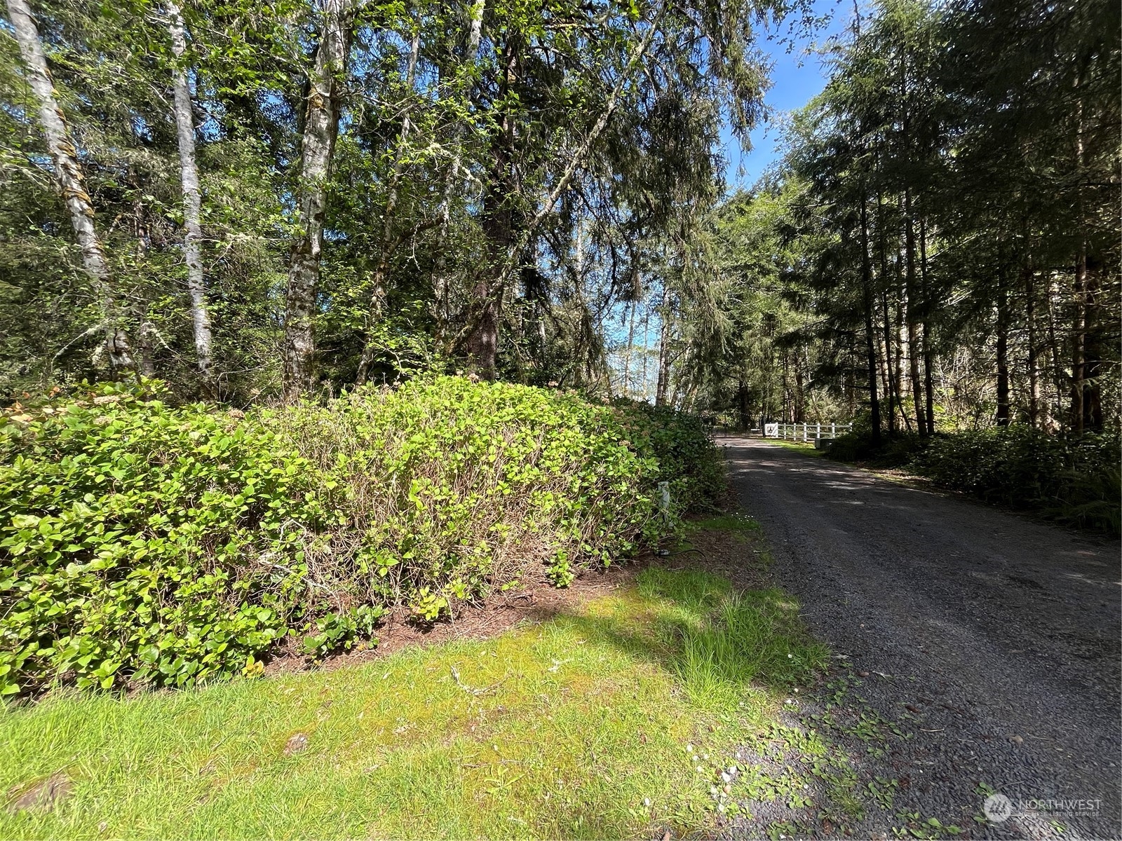25210 Sandridge Road Ocean Park, WA 98640 - Photo 8 of 27 Gallery Image 8