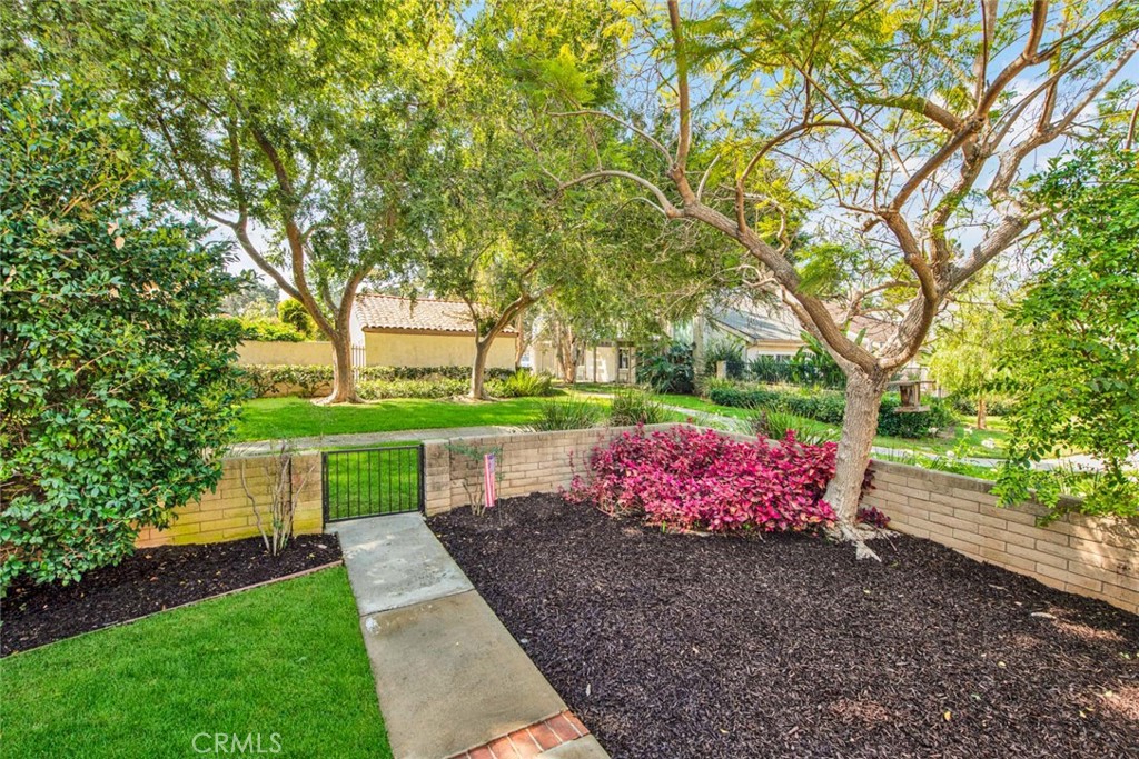 60 Willow Tree Lane Irvine, CA 92612 - Photo 49 of 74 a view of a yard with plants and large trees