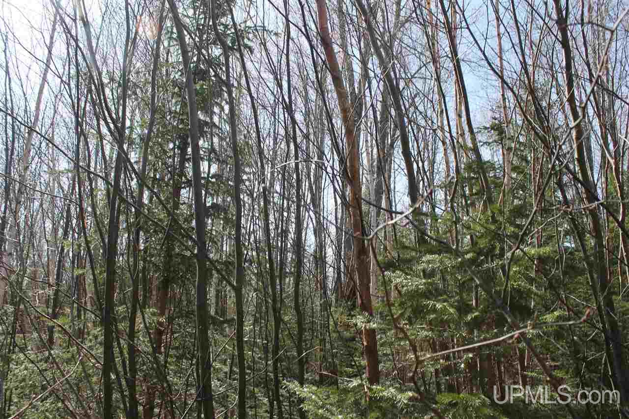 Tbd Reeds Point Road, Unit LAT 46 89919 LON 88 2455 Lanse, MI 49946 - Photo 2 of 19