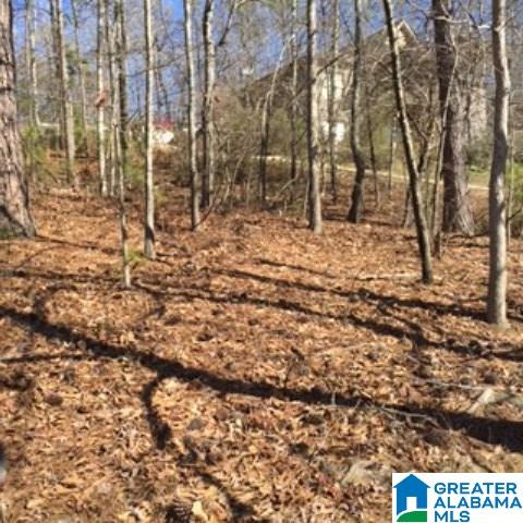 338 Davis Acres Drive, Unit 1 Alpine, AL 35014 - Photo 4 of 19